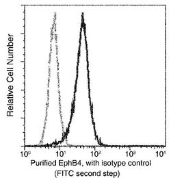 Invitrogen EphB4 Recombinant Rabbit Monoclonal Antibody (001) 100 &mu;L;