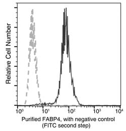 FABP4 Recombinant Rabbit Monoclonal Antibody (001):Antibodies, Recombinant