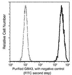 Invitrogen GBA3 Recombinant Rabbit Monoclonal Antibody (008) 100 &mu;L;