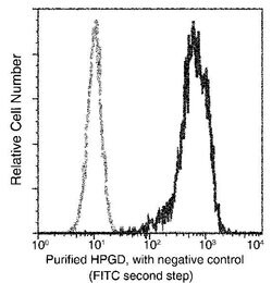 Invitrogen 15-PGDH Recombinant Rabbit Monoclonal Antibody (016) 100 &mu;L;
