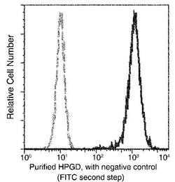 Invitrogen 15-PGDH Recombinant Rabbit Monoclonal Antibody (027) 100 &mu;L;