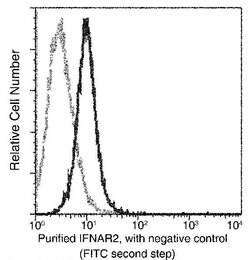 IFNAR2 Mouse anti-Human, Clone: 7, Invitrogen 100 &mu;L | Buy Online | Thermo Scientific | Fisher Scientific
