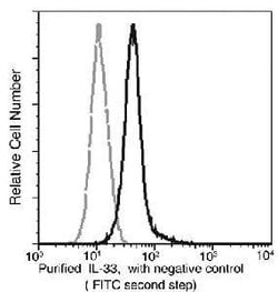 Invitrogen IL-33 Monoclonal Antibody (03) 100 &mu;L; Unconjugated:Antibodies,