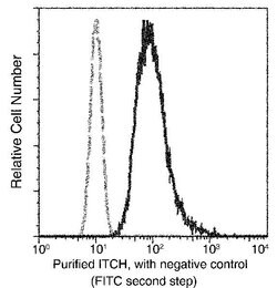 Invitrogen ITCH Monoclonal Antibody (01) 100 &mu;L; Unconjugated:Antibodies,