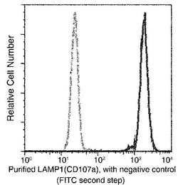 Invitrogen LAMP1 Recombinant Rabbit Monoclonal Antibody (107) 100 &mu;L;