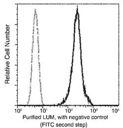Invitrogen LUM Recombinant Rabbit Monoclonal Antibody (077) 100 &mu;L | Buy Online | Invitrogen&trade; | Fisher Scientific