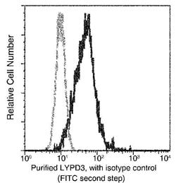 Invitrogen LYPD3 Recombinant Rabbit Monoclonal Antibody (213) 100 &mu;L;