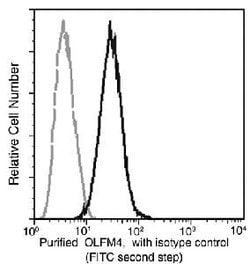 Invitrogen OLFM4 Monoclonal Antibody (12) 100 &mu;L; Unconjugated:Antibodies,