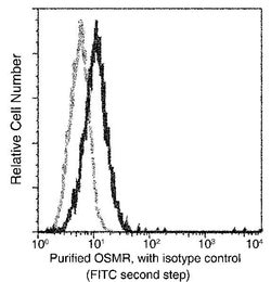 Invitrogen OSMR Recombinant Rabbit Monoclonal Antibody (002) 100 &mu;L;