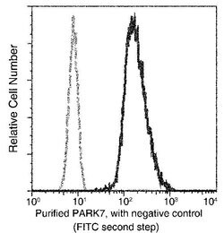 DJ-1 Recombinant Rabbit Monoclonal Antibody (007), Invitrogen 100 &mu;L;