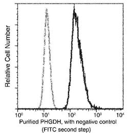 Invitrogen PHGDH Monoclonal Antibody (01) 100 &mu;L; Unconjugated:Antibodies,