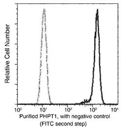 Invitrogen PHPT1 Recombinant Rabbit Monoclonal Antibody (001) 100 &mu;L | Buy Online | Invitrogen&trade; | Fisher Scientific