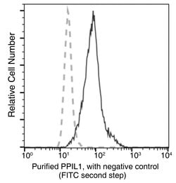 Invitrogen PPIL1 Monoclonal Antibody (08) 100 &mu;L; Unconjugated:Antibodies,