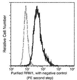 Invitrogen RRM1 Monoclonal Antibody (08) 100 &mu;L; Unconjugated:Antibodies,