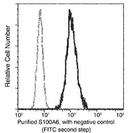 Invitrogen S100A6 Monoclonal Antibody (03) 100 &mu;L | Buy Online | Invitrogen&trade; | Fisher Scientific