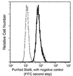 Invitrogen STAT6 Monoclonal Antibody (03) 100 &mu;L; Unconjugated:Antibodies,