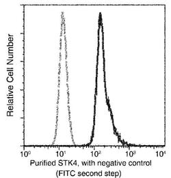 Invitrogen MST1 (STK4) Monoclonal Antibody (01) 100 &mu;L; Unconjugated:Antibodies,