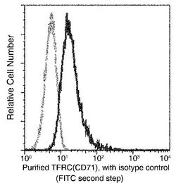 Invitrogen Transferrin Receptor Recombinant Rabbit Monoclonal Antibody (040) 100 &mu;L | Buy Online | Invitrogen&trade; | Fisher Scientific