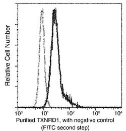 Invitrogen TrxR1 Monoclonal Antibody (06) 100 &mu;L; Unconjugated:Antibodies,