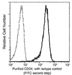 Invitrogen CD34 Recombinant Rabbit Monoclonal Antibody (013) 100 &mu;L;