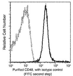 Invitrogen CD48 Recombinant Rabbit Monoclonal Antibody (341) 100 &mu;L;