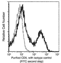 Invitrogen CD5 Recombinant Rabbit Monoclonal Antibody (114) 100 &mu;L | Buy Online | Invitrogen&trade; | Fisher Scientific