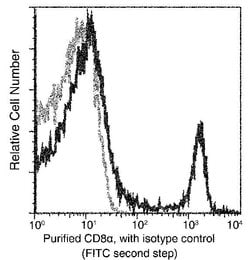 Invitrogen CD8 alpha Recombinant Rabbit Monoclonal Antibody (208) 100 &mu;L | Buy Online | Invitrogen&trade; | Fisher Scientific