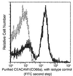 Invitrogen CEACAM1 Recombinant Rabbit Monoclonal Antibody (117) 100 &mu;L | Buy Online | Invitrogen&trade; | Fisher Scientific