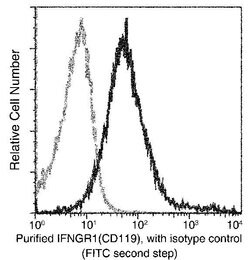 Invitrogen IFNGR1 Recombinant Rabbit Monoclonal Antibody (062) 100 &mu;L;