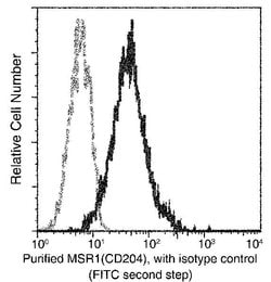 Invitrogen CD204 Recombinant Rabbit Monoclonal Antibody (004) 100 &mu;L;