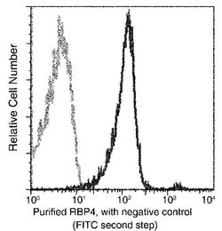 Invitrogen RBP4 Recombinant Rabbit Monoclonal Antibody (008) 100 &mu;L | Buy Online | Invitrogen&trade; | Fisher Scientific