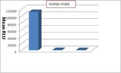 Invitrogen Influenza A H10N8 HA Monoclonal Antibody (mh001) 200 &mu;g;