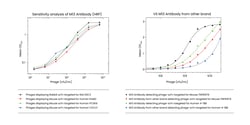 M13 Phage coat protein Monoclonal Antibody (MM05):Antibodies, Monoclonal