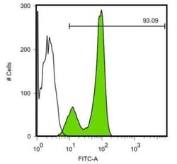 Invitrogen SOX2 Monoclonal Antibody (GT1352) 100 &mu;L; Unconjugated:Antibodies,