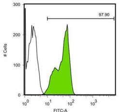 Invitrogen&trade;&nbsp;LIN28A Monoclonal Antibody (GT1086)