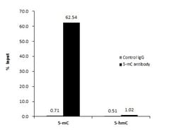 Invitrogen 5-Methylcytosine Monoclonal Antibody (GT4111) 100 &mu;L | Buy Online | Invitrogen&trade; | Fisher Scientific