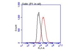 Invitrogen p21 Monoclonal Antibody (GT8611) 100 &mu;L; Unconjugated:Antibodies,