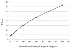 Invitrogen Arginase 1 Monoclonal Antibody (GT5811) 100 &mu;L | Buy Online | Invitrogen&trade; | Fisher Scientific