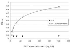 Invitrogen Arginase 1 Monoclonal Antibody (GT5811) 100 &mu;L | Buy Online | Invitrogen&trade; | Fisher Scientific