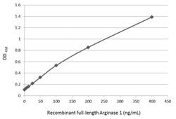Invitrogen Arginase 1 Monoclonal Antibody (GT5811) 100 &mu;L | Buy Online | Invitrogen&trade; | Fisher Scientific