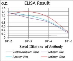 Invitrogen ABCG5 Monoclonal Antibody (1B5E10) 100 &mu;L; Unconjugated:Antibodies,