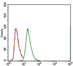 Invitrogen ABCG5 Monoclonal Antibody (1B5E10) 100 &mu;L; Unconjugated:Antibodies,