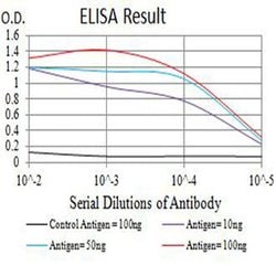 Invitrogen Arp3 Monoclonal Antibody (3G2C9) 100 &mu;L; Unconjugated:Antibodies,
