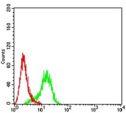 Invitrogen Arp3 Monoclonal Antibody (3G2C9) 100 &mu;L; Unconjugated:Antibodies,