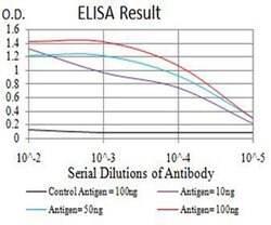 Invitrogen ADAMTS1 Monoclonal Antibody (1G5D5) 100 &mu;L; Unconjugated:Antibodies,