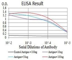 ADAMTS1 Monoclonal Antibody (1C12E6), Invitrogen 100 &mu;L; Unconjugated:Antibodies,