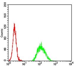 ADAMTS1 Monoclonal Antibody (1C12E6), Invitrogen 100 &mu;L; Unconjugated:Antibodies,