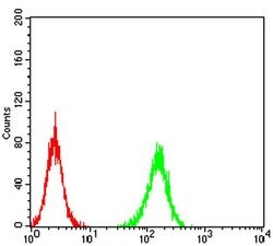 ADAMTS1 Monoclonal Antibody (1C12E6), Invitrogen 100 &mu;L; Unconjugated:Antibodies,