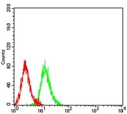 Invitrogen Centaurin alpha-1 Monoclonal Antibody (3E2D9) 100 &mu;L; Unconjugated:Antibodies,