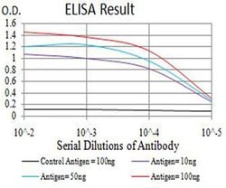 Invitrogen AEBP2 Monoclonal Antibody (2D7B6) 100 &mu;L; Unconjugated:Antibodies,